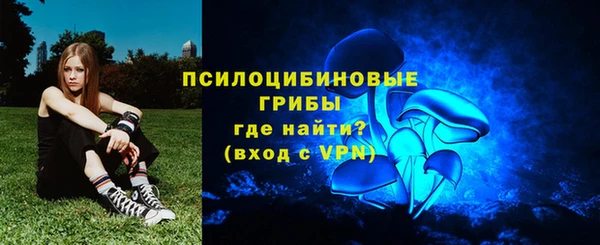 тгк Алзамай