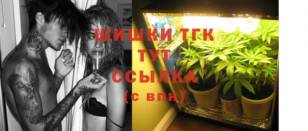 тгк Алзамай