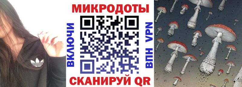 Галлюциногенные грибы прущие грибы  Новороссийск 
